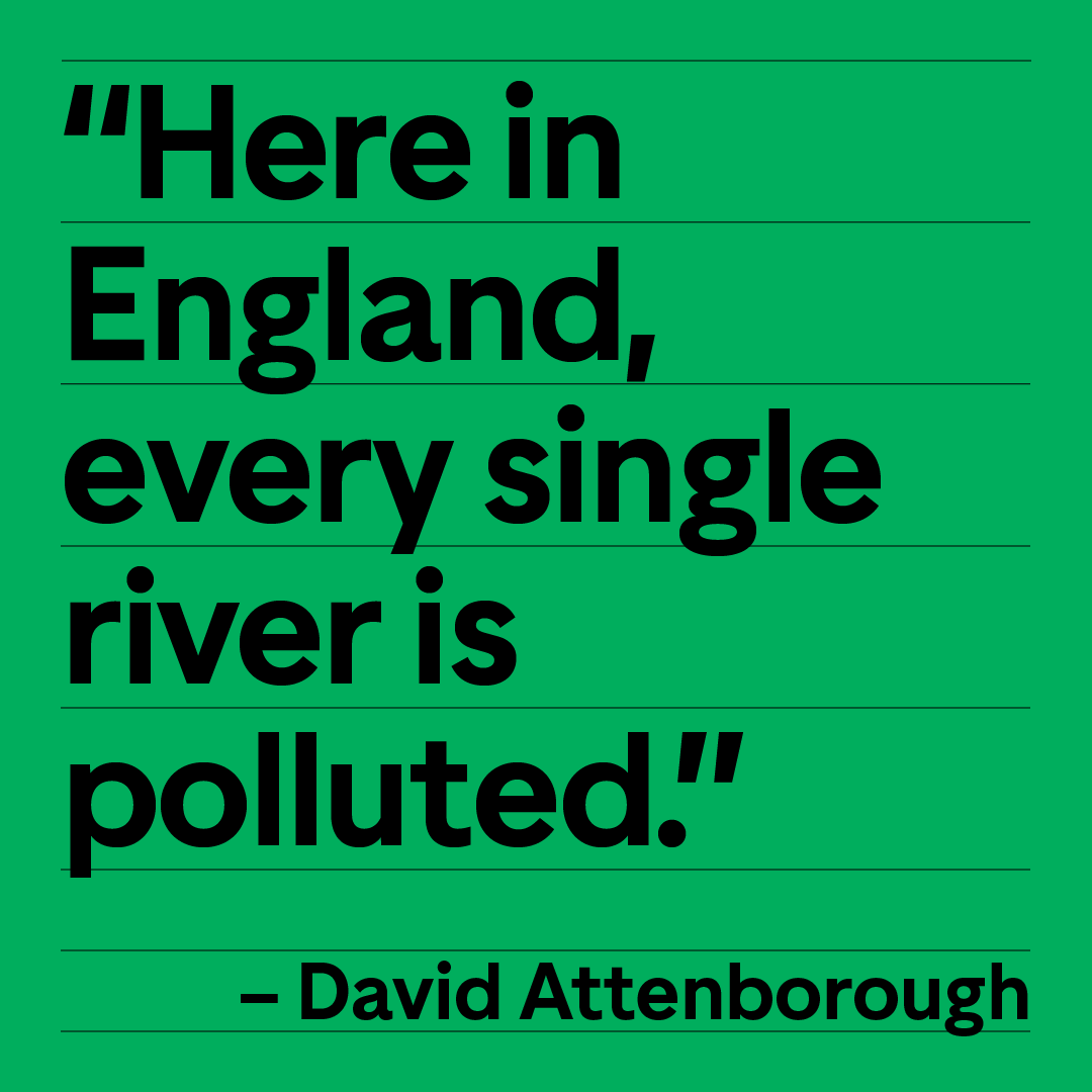 GoodLawProject's tweet image. Have you been watching David Attenborough’s latest programme, #WildIsles?

The beauty of our country’s wildlife is on show – but also the reality of pollution &amp;amp; habitat destruction.

We’re taking action to make sure the Government and water companies clean up their act.