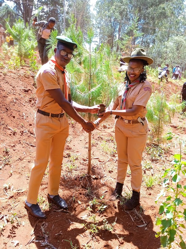 TEAMEnvironmentKENYA tweet media