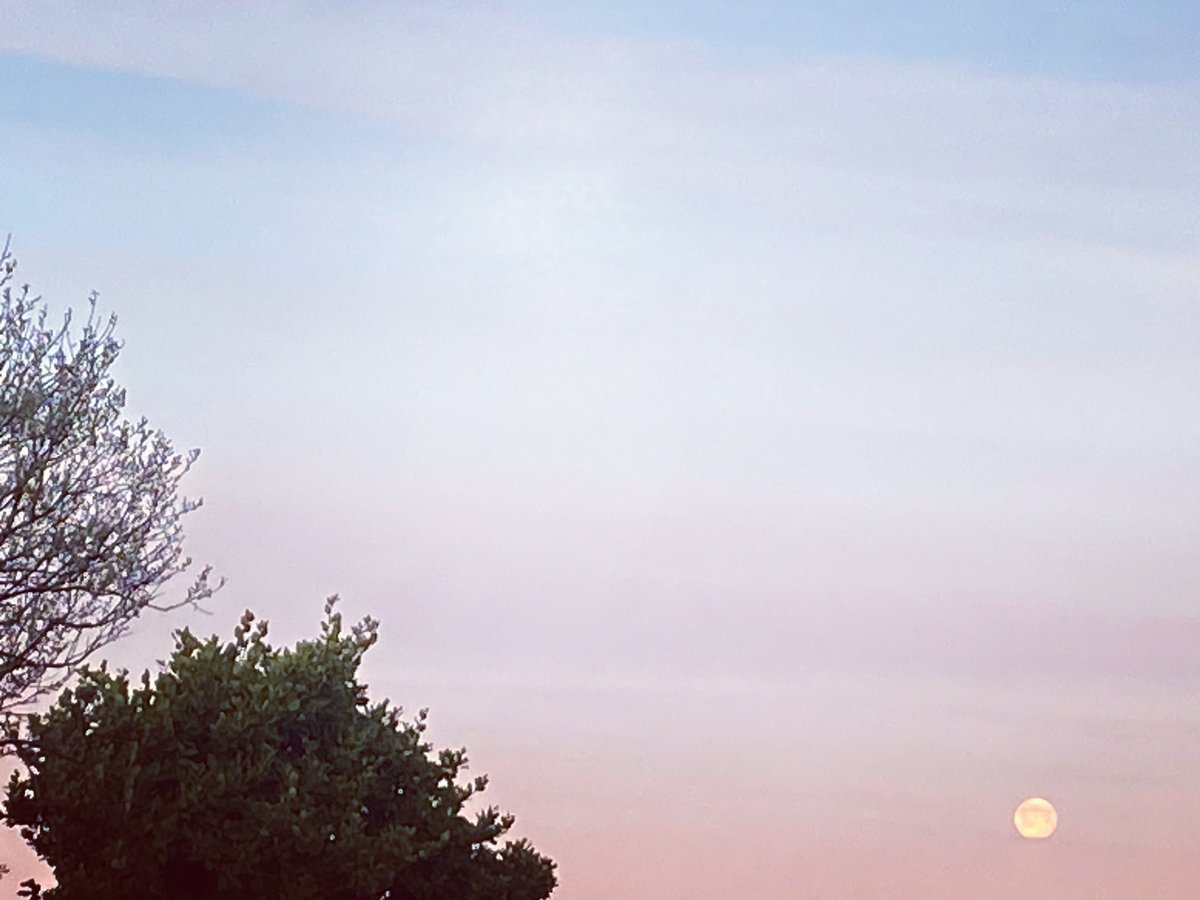 angelcakepie's tweet photo. This morning’s moonset 🌕 
#fullmoon #aprilfullmoon #pinkmoon #moonmagik https://t.co/VwsbjJ1qV5