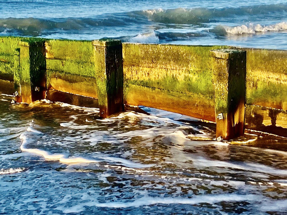 Cindy (Spence) Vallance (she/her) tweet media