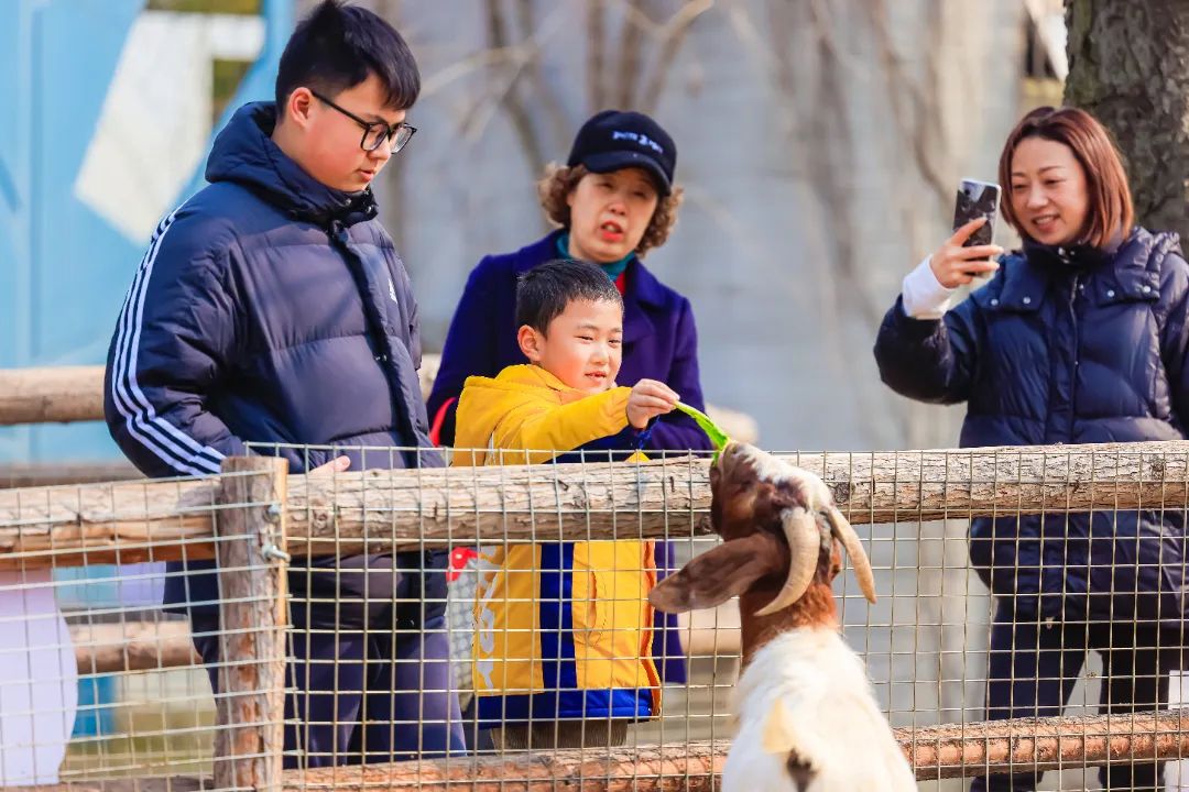 SND_China's tweet image. If you're in the mood for a #springouting, go to Xushuguan in the #SND! This place has it all. Picture a light repast at Changpu Tea House, after climbing Dayang Mountain, enjoying quality time with your loved ones. Come and enjoy the natural spring colors in #SND. 🍃🏕️#VisitSND