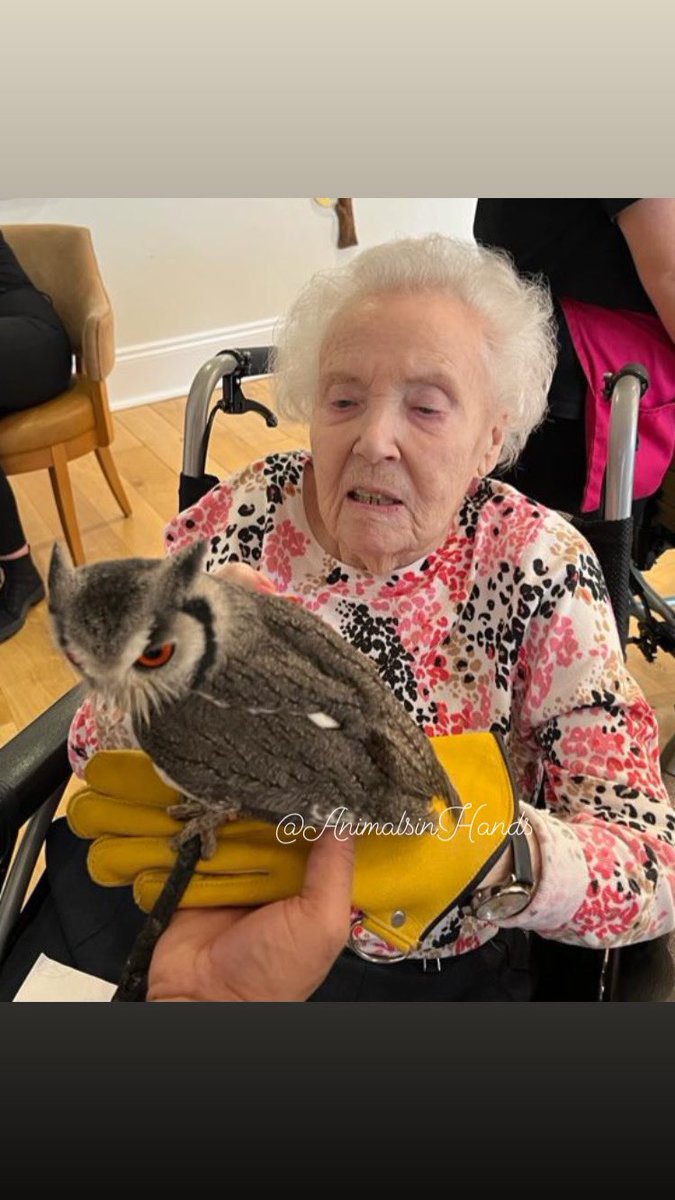 AnimalsinHands's tweet photo. Happy Bank Holiday weekend.
#animalparty #carehomes #animalpartiesforchildren
#animalman #animalmanbirmingham #mothezookeeper
#mobilezoo #owlsofinstagram #carpetpythonsofinstagram
#primaryscience #headteacher
#animalmaninschools #animalshows https://t.co/4qMhpIMflY https://t.co/CUvHGJZnLB
