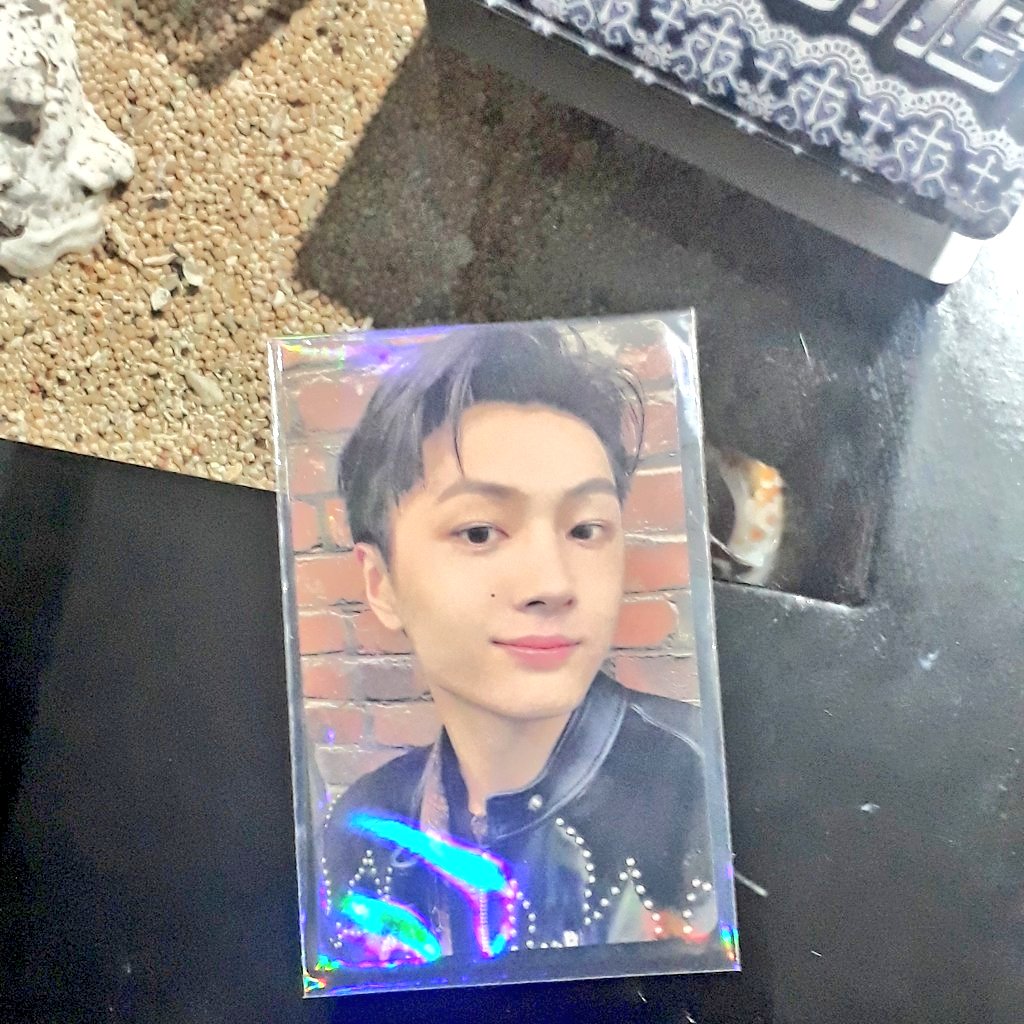 shoonnice's tweet photo. WTS/WANT TO SELL 

aab SUNOO
JAY
JAKE

• 💸 SUNOO pict 
• JAY 200k
• JAKE 100k 
NEGO TIPIS

dom Malang
🍊 / keep event 

https://t.co/AK0OXr5YTI wts sunoo enhypen border chary oddy jay enhypen dimension senkou weverse japan jake ld pws d:a sunoo soljack https://t.co/wSvS6S32Ny