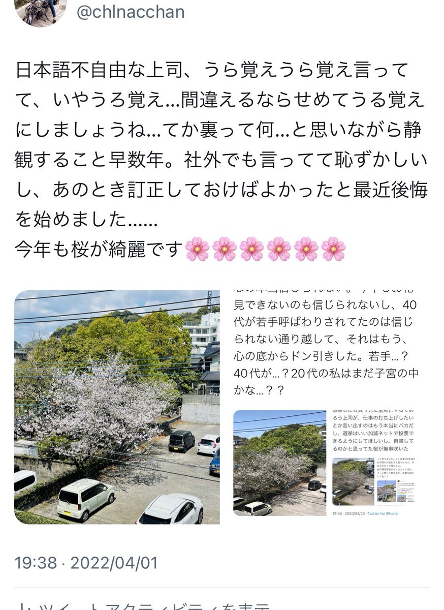 chlnacchan's tweet photo. 桜マトリョーシカをいくつ作れば新入社員が入ってくると思う？？後輩できるのと結婚相手見つけるのどっちが先か誰か賭けよう🌸ちなみに私は会社が老衰で機能不全になるのが先に一万票🫶 https://t.co/G73TInRYeY