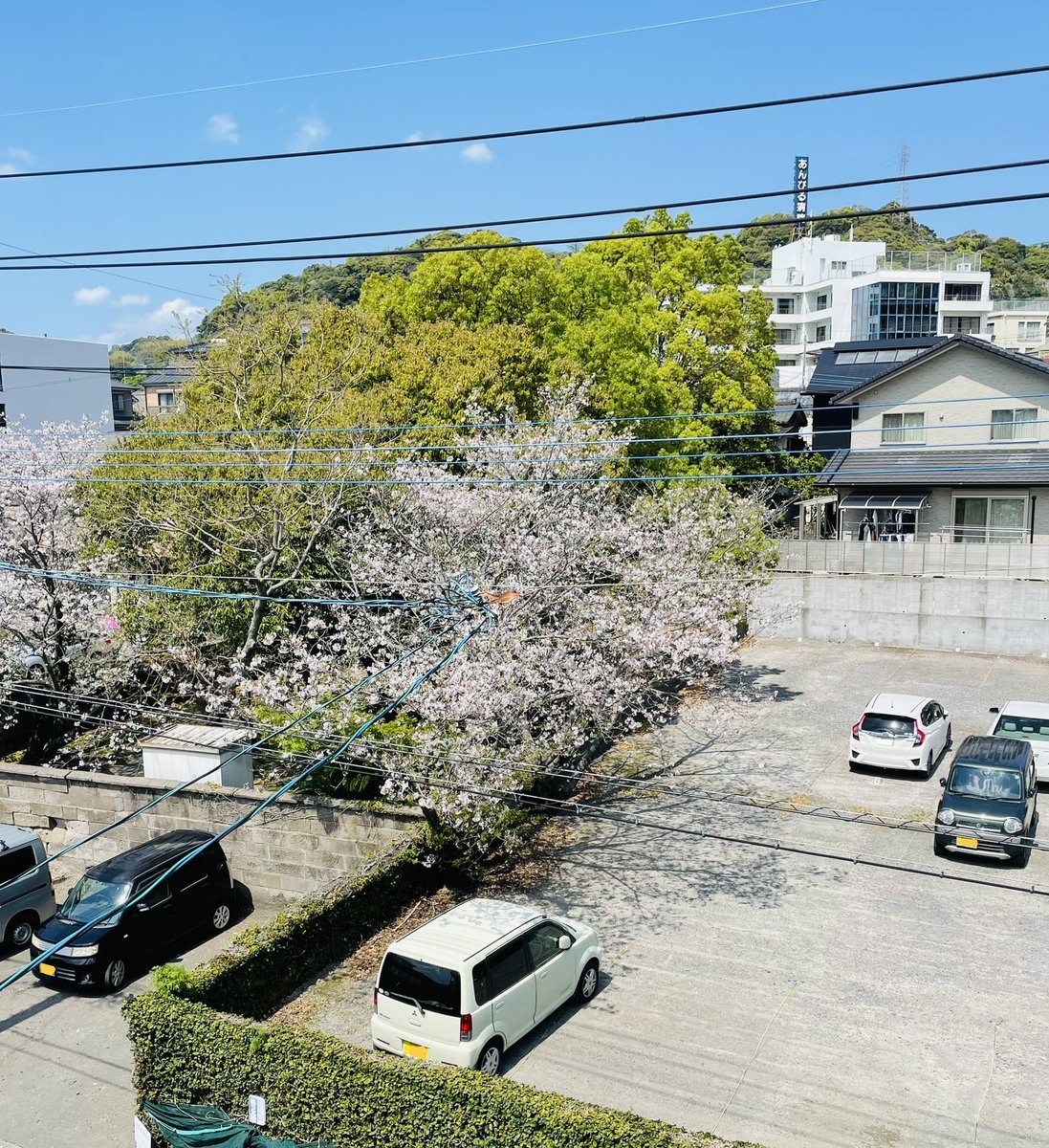 chlnacchan's tweet photo. 桜マトリョーシカをいくつ作れば新入社員が入ってくると思う？？後輩できるのと結婚相手見つけるのどっちが先か誰か賭けよう🌸ちなみに私は会社が老衰で機能不全になるのが先に一万票🫶 https://t.co/G73TInRYeY