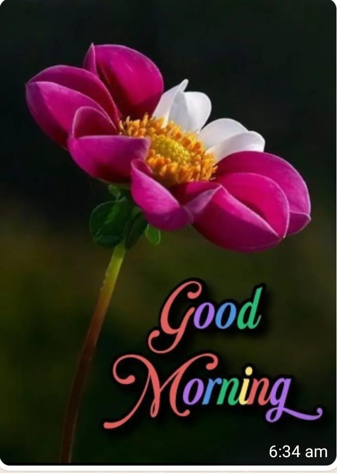 Every peoples good morning