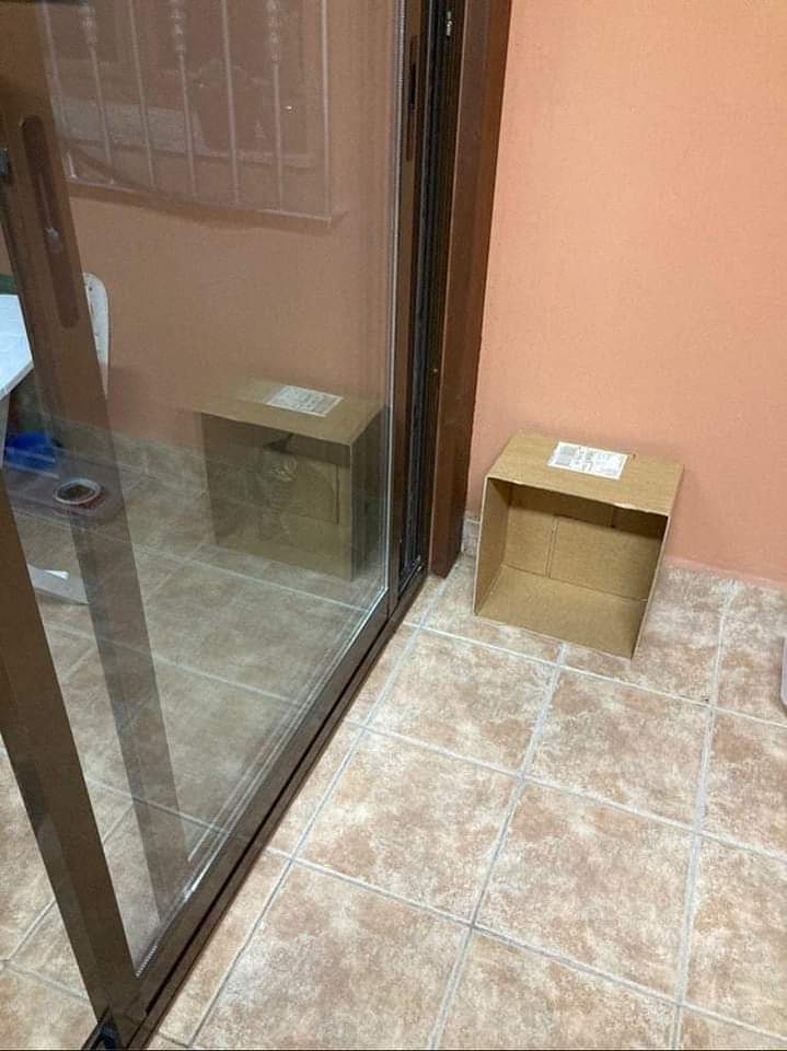 ErigolDelViento's tweet photo. Oh dios mío.. existe! https://t.co/RD1n1Uol0Q