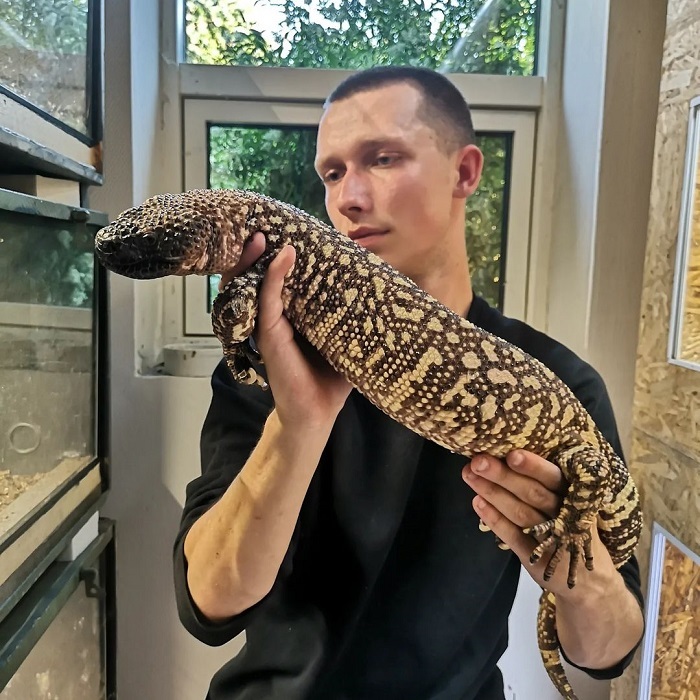 Cicak Apa Paling Bahaya #info Klik Sini Untuk Lihat Spenuhnya ift.tt/AirDkGu