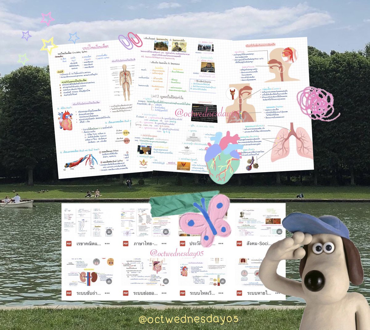octwednesday05's tweet image. รวบรวมชีทสรุปที่เค้าทำไว้ เผื่อจะมีประโยชน์แก่ทุกๆคนนะคับ ขอให้สอบติดคณะที่หวัง สู้ไปด้วยกัน🤝🏻⭐️

✿ ลิ้งไฟล์ในเมนชั่นคับ แจกๆ🖐🏻 ✿

— #dek67 #dek68 #dek69 #dek70 #วันนี้dek67ทำอะไร  🤸🏻‍♂️🎀 #stdwbortor 💐