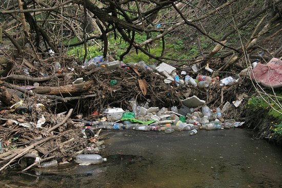 GiveaHand45's tweet photo. Please pick up the trash and throw it in garbage can Give a Hand! For a Better World!  #nature #trash #garbage #ocean #animals #beach #plogging #plogolution https://t.co/YWpm8AmSYh