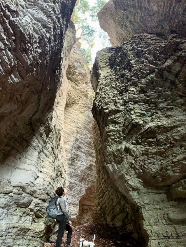 arpaveneto's tweet image. #GreenWeekend #VisitVeneto
Cosa possono creare le forze della natura! Questo canyon era il vecchio percorso del torrente Ardo. Oggi è un sentiero. Scopri altri luoghi della Valbelluna bit.ly/3KoCWbu #VisitVeneto 
📷Foto IG yu_healthyway
Di più su @TurismoVeneto