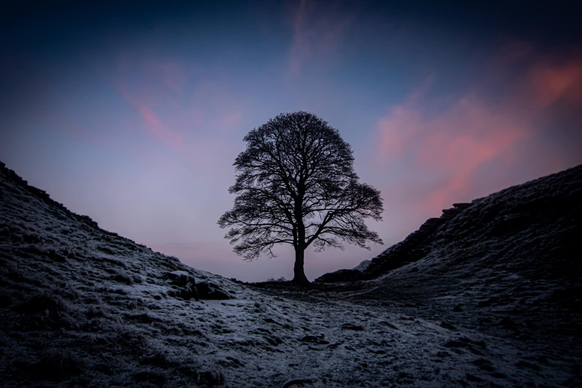 Day 2 of our Easter Pop-Up Shops is here 🛍️ 

Today you'll find Anne James Ceramics, Diane Stewardson Jewellery, and Elements Photography will be waiting for you to come and take a peek at what's on offer.