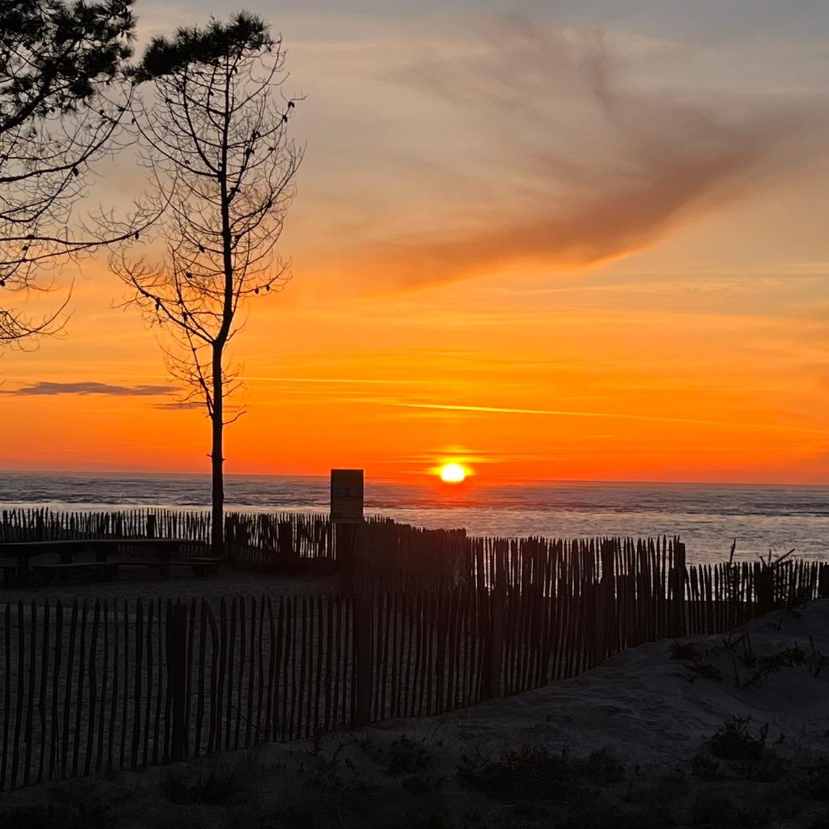 celinegllm's tweet photo. La saison a été lancée hier soir avec un coucher de soleil fou 🤩

Pas encore réservé vos prochaines vacances en couple, en famille ou entre amis ? Encore quelques disponibilités 👉 https://t.co/Q4daapiXyB

#bassindarcachon #sunset #vacancesba https://t.co/jR6Jpt8b2x