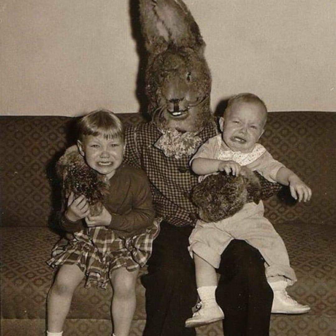 iloveloafcom's tweet photo. I told my 5yr old daughter that if she wasn’t good, she’d be visited by the bad Easter Bunny ‘Murdoch’.
Who is Murdoch? She asked
This, Molly, is Murdoch.
She’s decided to be good https://t.co/TXMnbcHzGU