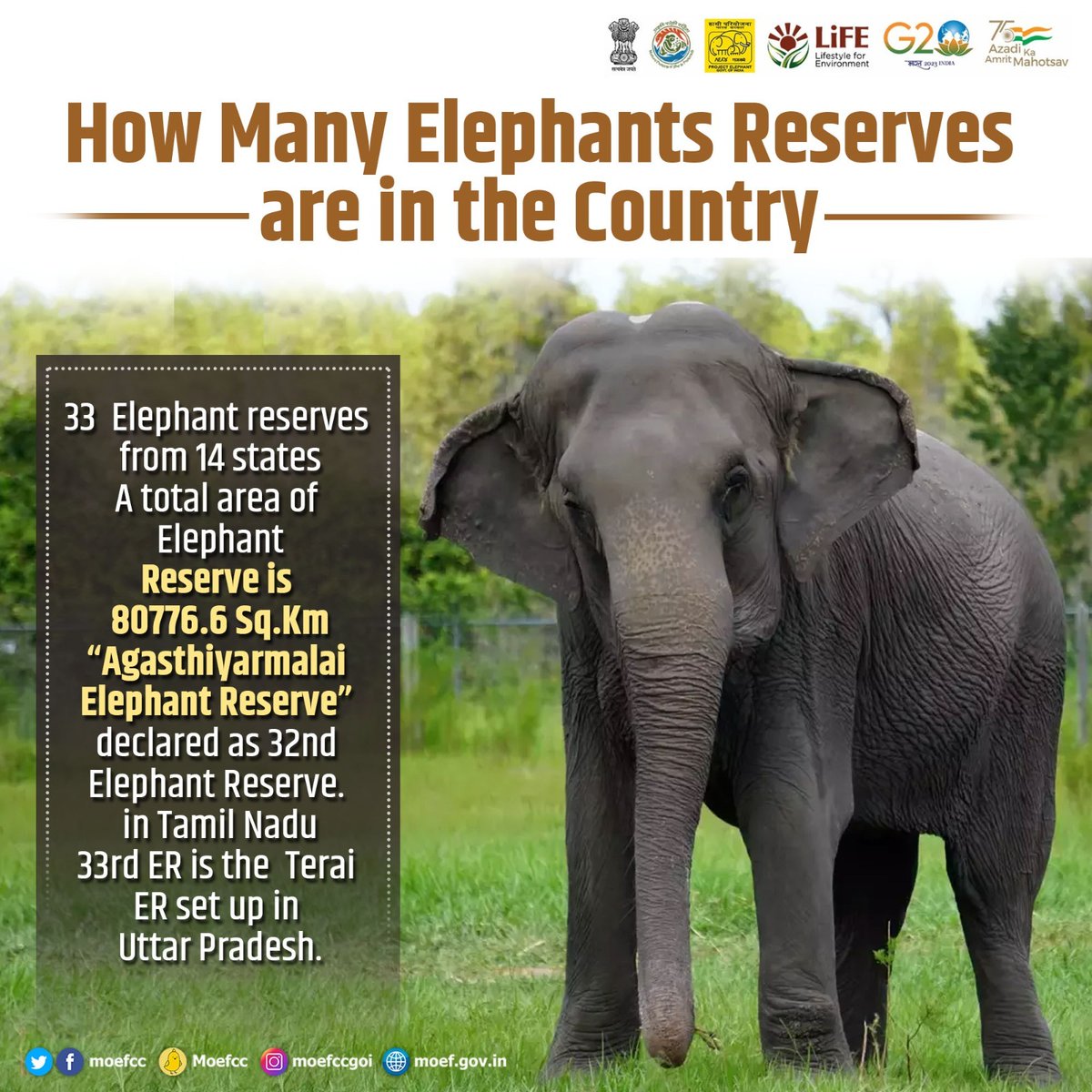 India is home to 33 Elephant Reserves in 14 states, covering an area of 80776.6 Sq. Km. Let's protect these magnificent animals.

#GajUtsav #LiFE 

@moefcc @byadavbjp @AshwiniKChoubey