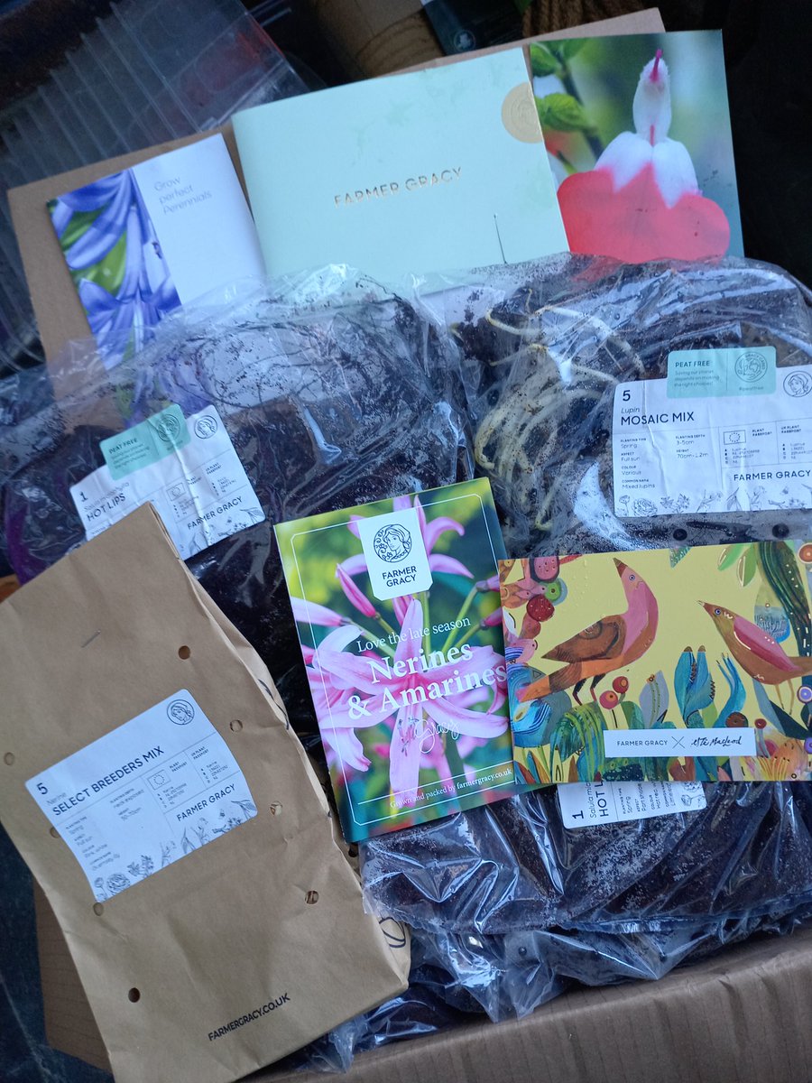 ngsgardenhook's tweet photo. Ooo my box of @FarmerGracy delights has arrived ❤️ #hotlips #lupins #nerines
You'll know what I'll be doing this weekend 👍 🌱🌱🌱🌱🌱 https://t.co/S349pciRfw