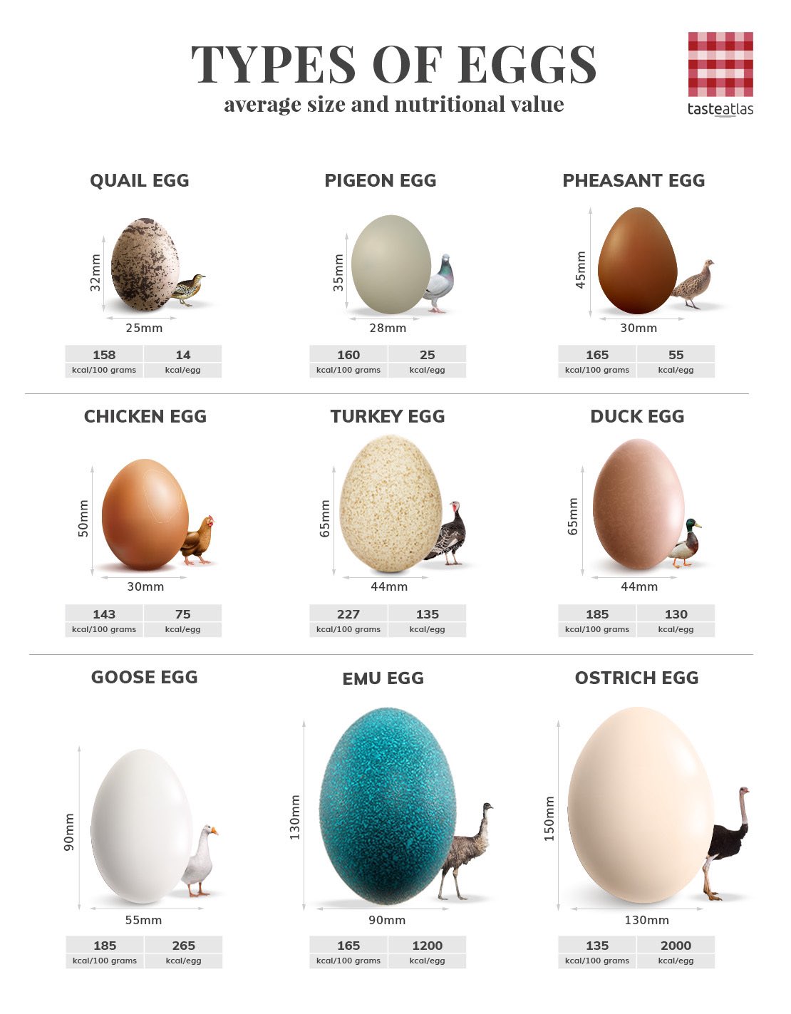 TasteAtlas on X: “Nearly all poultry eggs are edible - from tiny
