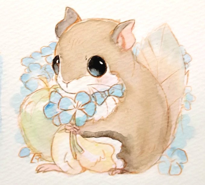 「hamster squirrel」 illustration images(Latest)
