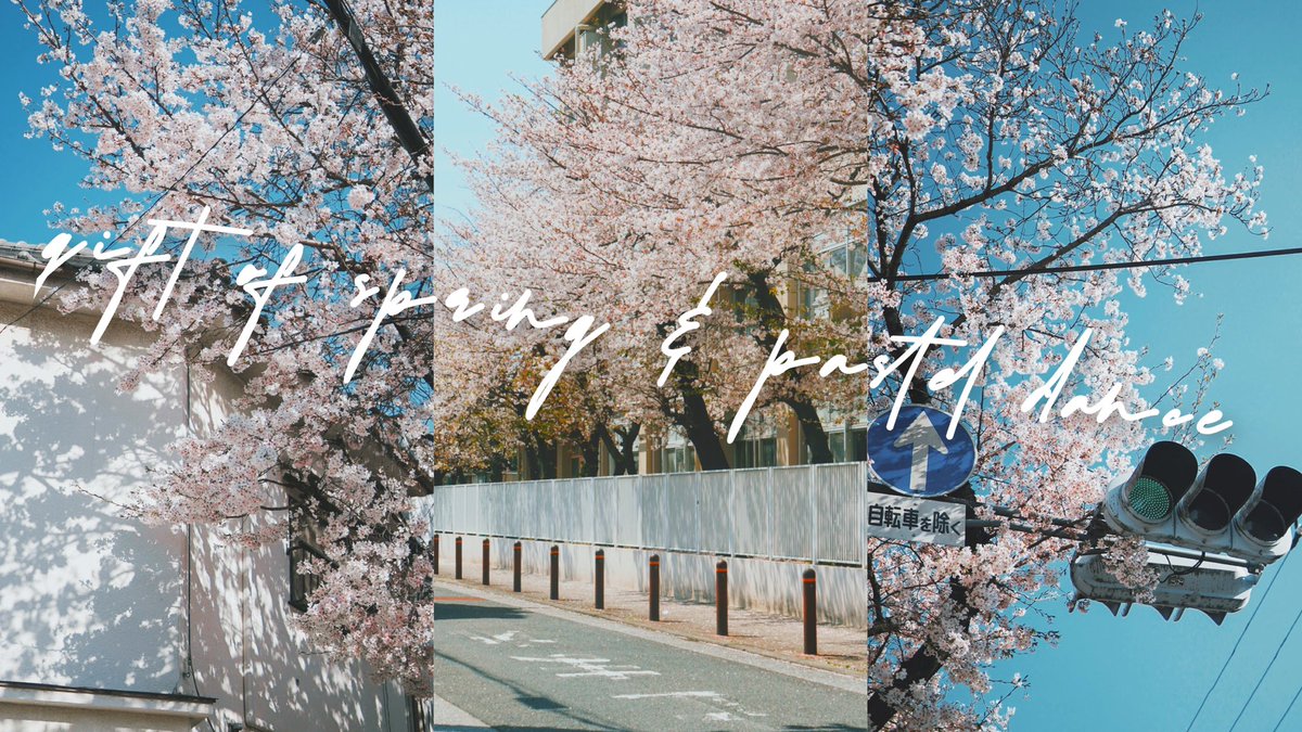 YouTube新作UPしました

gift of spring &amp; pastel dance

地元の磯路桜通りが今年最後で見納めなので少し寂しいです

最後に舞い散る桜の様子を是非ご覧ください🌸

youtu.be/NBPMZCh-bGs【本編】

#桜
#春
#磯路桜通り