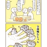 可愛すぎる･･･!付き添いでペットショップへハムスターを見に行ったときのお話を描いた漫画が話題に!