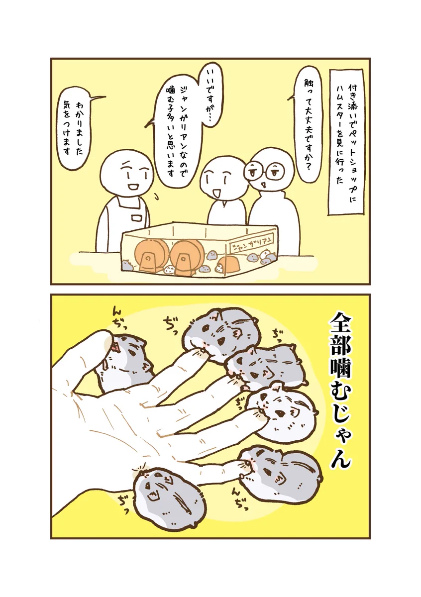 可愛すぎる･･･！付き添いでペットショップへハムスターを見に行ったときのお話を描いた漫画が話題に！