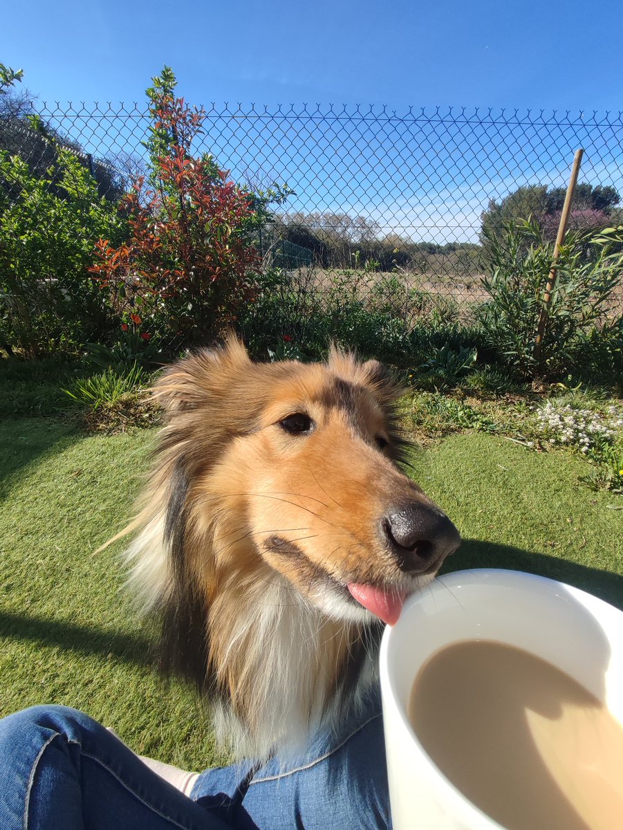 Huuuum excuse me Sir, that's my coffee