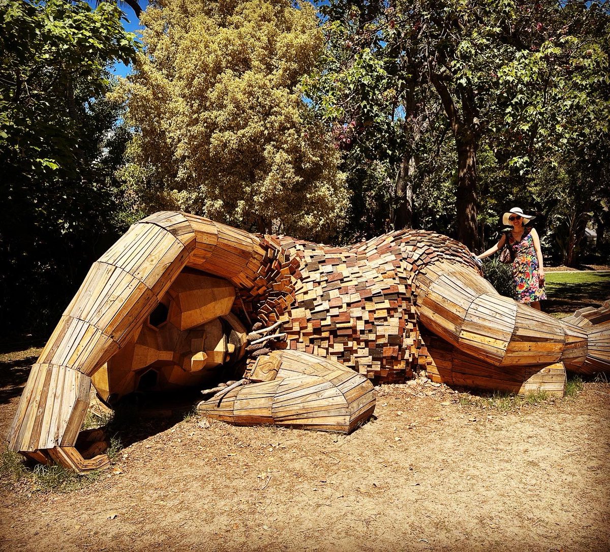 Two thumbs up for @thomasdambo, a clever and creative way of getting people out, about and at times, wandering the bush… #giantsofmandurah 💚#mandurah #westernaustralia #wanderoutyonder #thisiswa #giants #woodenart