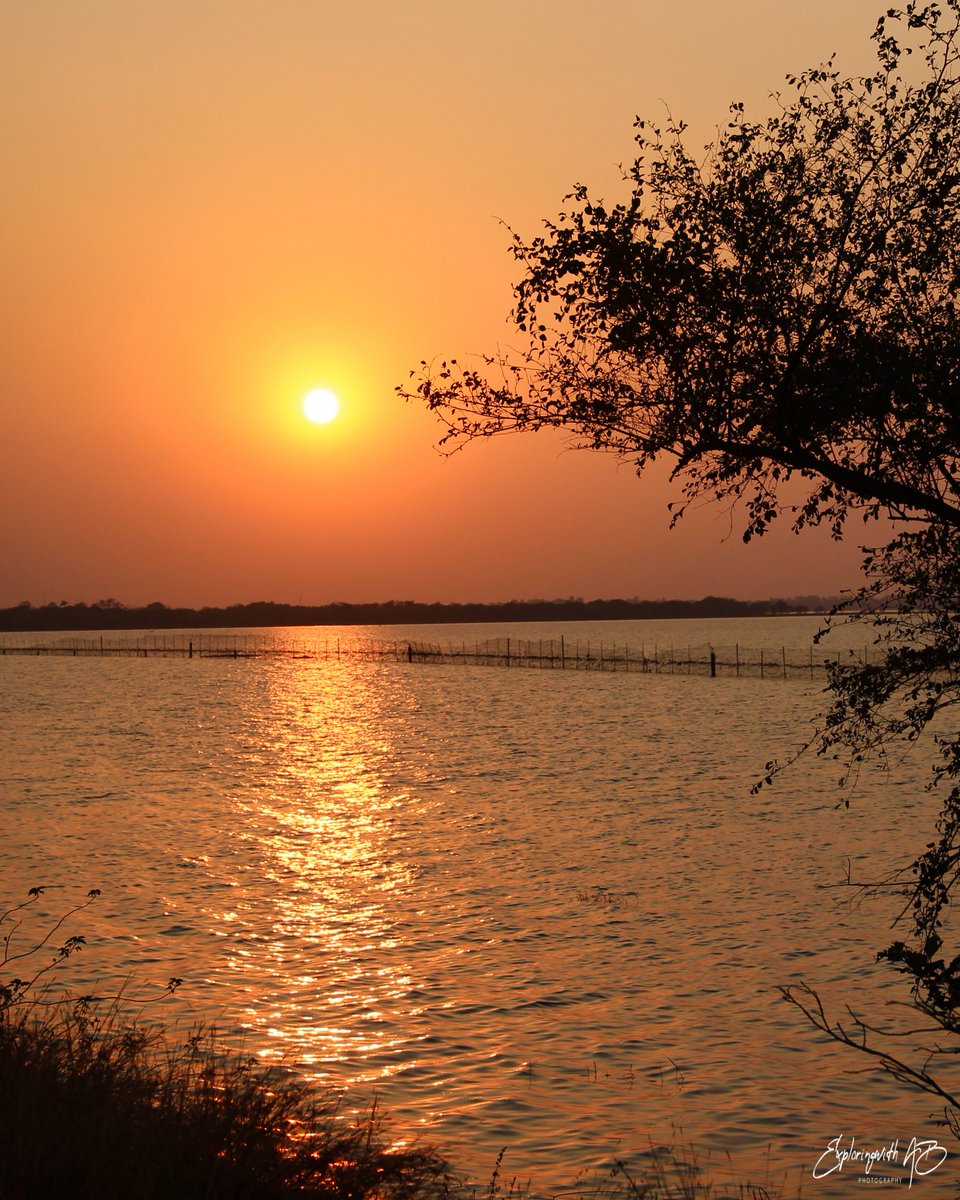 exploringwithAB's tweet photo. Sunset over Upper Lake in the city of Lakes, Bhopal
#Travel #sunset #SunsetLovers #Bhopal #GoodFriday #MP_की_अर्थव्यवस्था_दोगुनी #IncredibleIndia #mptourism #exploringwithab
@MPTourism @TOIBhopalNews @NGTIndia https://t.co/LpdD4biQyx
