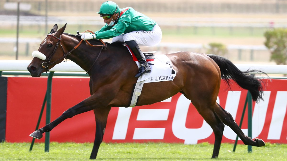 AgaKhanStuds's tweet image. 🌟 This smart filly by Medaglia D'Oro is the first foal out of #Valia, a Gr.2 winning and dual Gr.1 placed daughter of #SeaTheStars.

Valia, who hails from the same 'V' family as #Vadeni, visits #Siyouni this year.

#FoalFriday #RPFoalGallery #FoalWatch