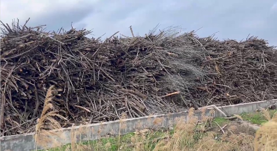 tangsu1314's tweet image. #ParticleBoard is also called granular board. Our materials are all twigs, so the board that we produce is much stronger.
E：emily@worldwideplywoodscm.com
WhatsApp：0086 13869753524
Tel：0530-3760652