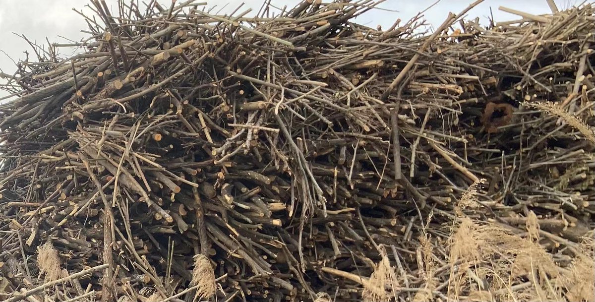 tangsu1314's tweet image. #ParticleBoard is also called granular board. Our materials are all twigs, so the board that we produce is much stronger.
E：emily@worldwideplywoodscm.com
WhatsApp：0086 13869753524
Tel：0530-3760652