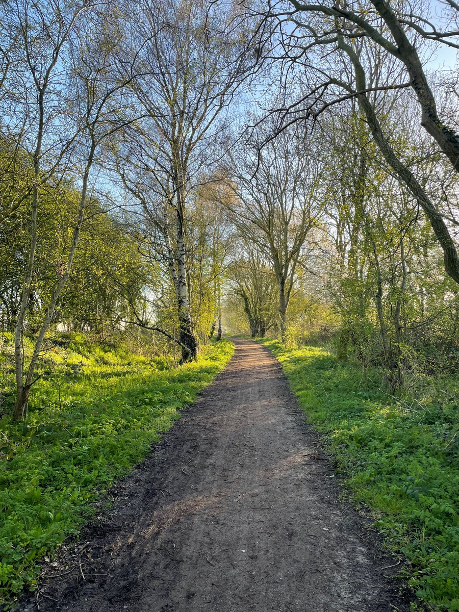 eirestudio's tweet photo. Back to it 🏃🏻‍♂️ #fairweatherrunner https://t.co/bRZXwjMaOR