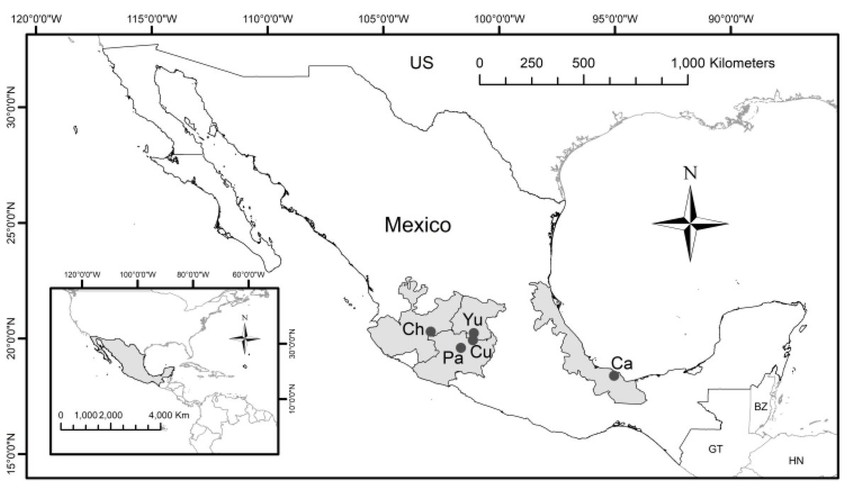 Sensors_MDPI's tweet photo. #highlycitedpaper
Integration of #remotesensing and Mexican Water Quality Monitoring System Using an Extreme Learning Machine
https://t.co/oYo8Lj1kQ2
#waterqualitymonitoring #extremelearningmachine #supportvectorregression #inlandwaters #turbidity 
@lunduniversity https://t.co/94g3f1j2dl