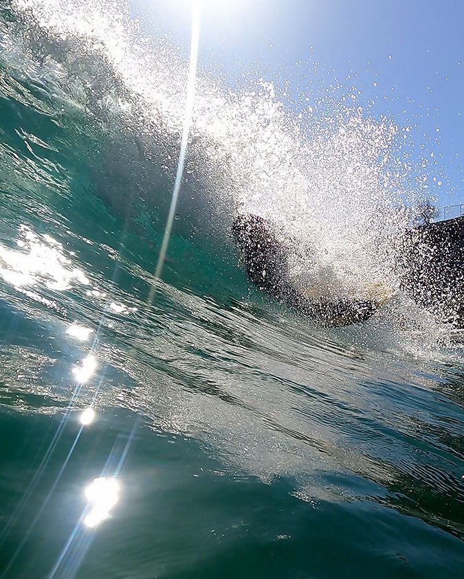 surfcanallave's tweet image. Dejándome caer. 

#bodyboarder #bodyboard @goproes #desdedentro #photobodyboard @gopro #photografy #photografo @rubiwey #contraluzdelamañana #contraluces #desdecasa
instagram.com/p/CqunOcaItUL/…