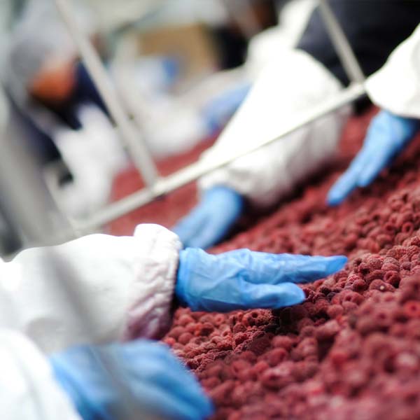 YamatoScaleUK's tweet photo. Fridays are for Frozen Produce, discover how our weighing systems keep things permanently chilled: https://t.co/9FFKr1PxEU https://t.co/q0Nq2HKqcB