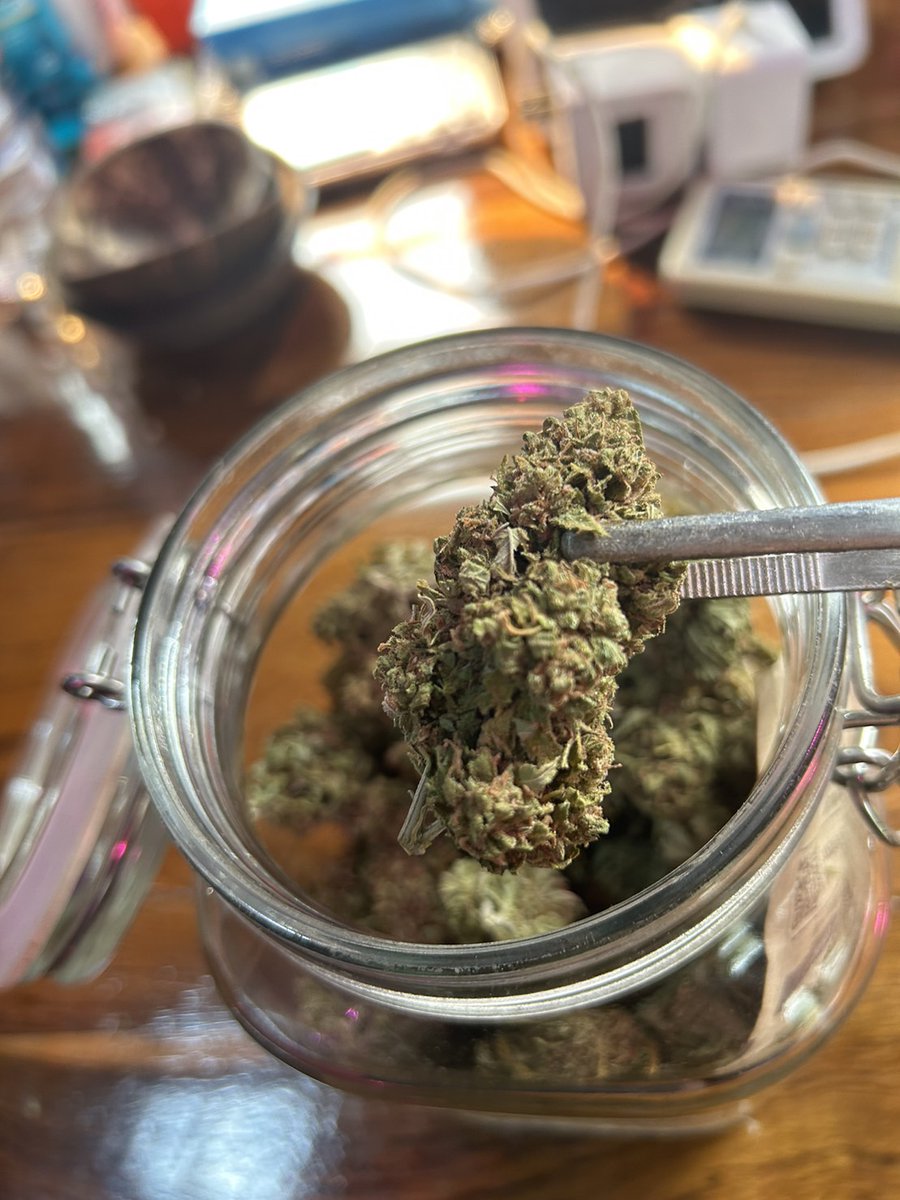 Herb_Haven's tweet photo. Herb Haven® Stardawg

Effect (เอฟเฟกต์)
ข้อดี ทำให้พูด , มีแรง , มีความสุข
ข้อเสีย ทำให้ปากแห้ง , มึนงง
ผลดีช่วยลดความเครียด, ภาวะซึมเศร้า, ความวิตกกังวล

Product Info (ข้อมูลผลิตภัทฑ์)

Stardawg THC 22% , CBD 0%
 #กัญชา #ขายกัญชา #ซื้อกัญชา #ตรงปก #กัญชานอก #Weed #ดอกกัญชา https://t.co/453b2B4j75