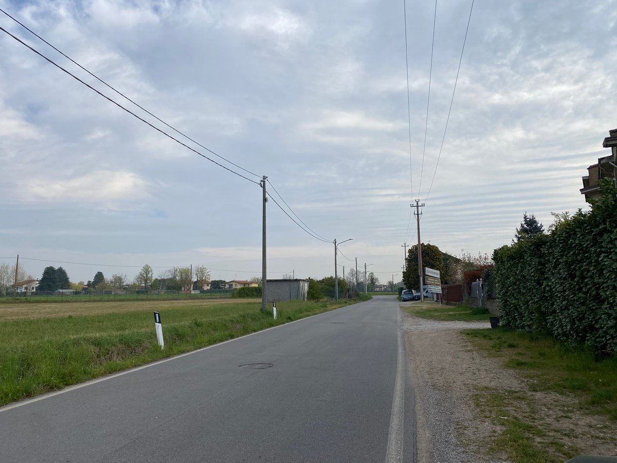 Cuggiono - Nell'area tra Cuggiono e Castelletto, nelle ultime settimane, sono state raccolte più testimonianze di avvistamenti di lupi. logosnews.it/node/88128
