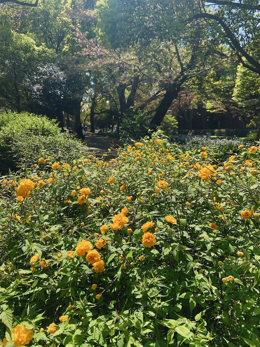 m_623_k's tweet photo. 4月こんにちは🍃🌸🌼
春だぁ🌱 https://t.co/YRFFgnjgww