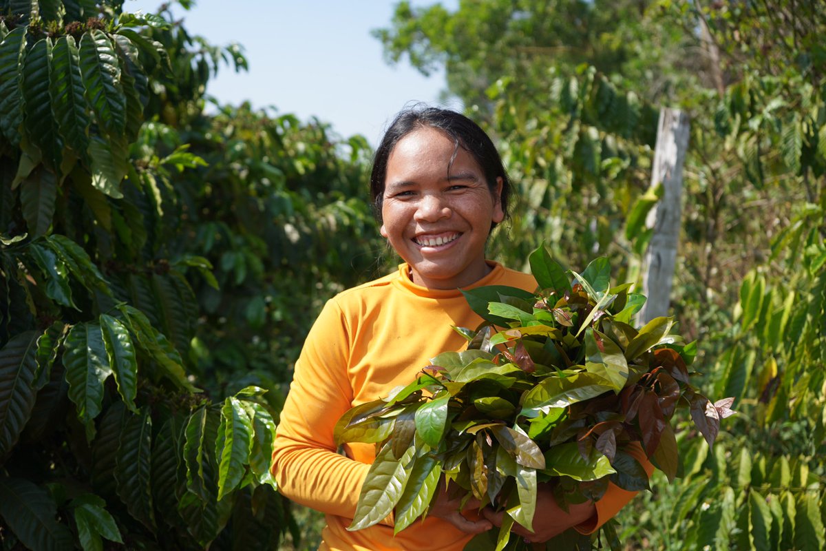 UNDPVietNam tweet picture