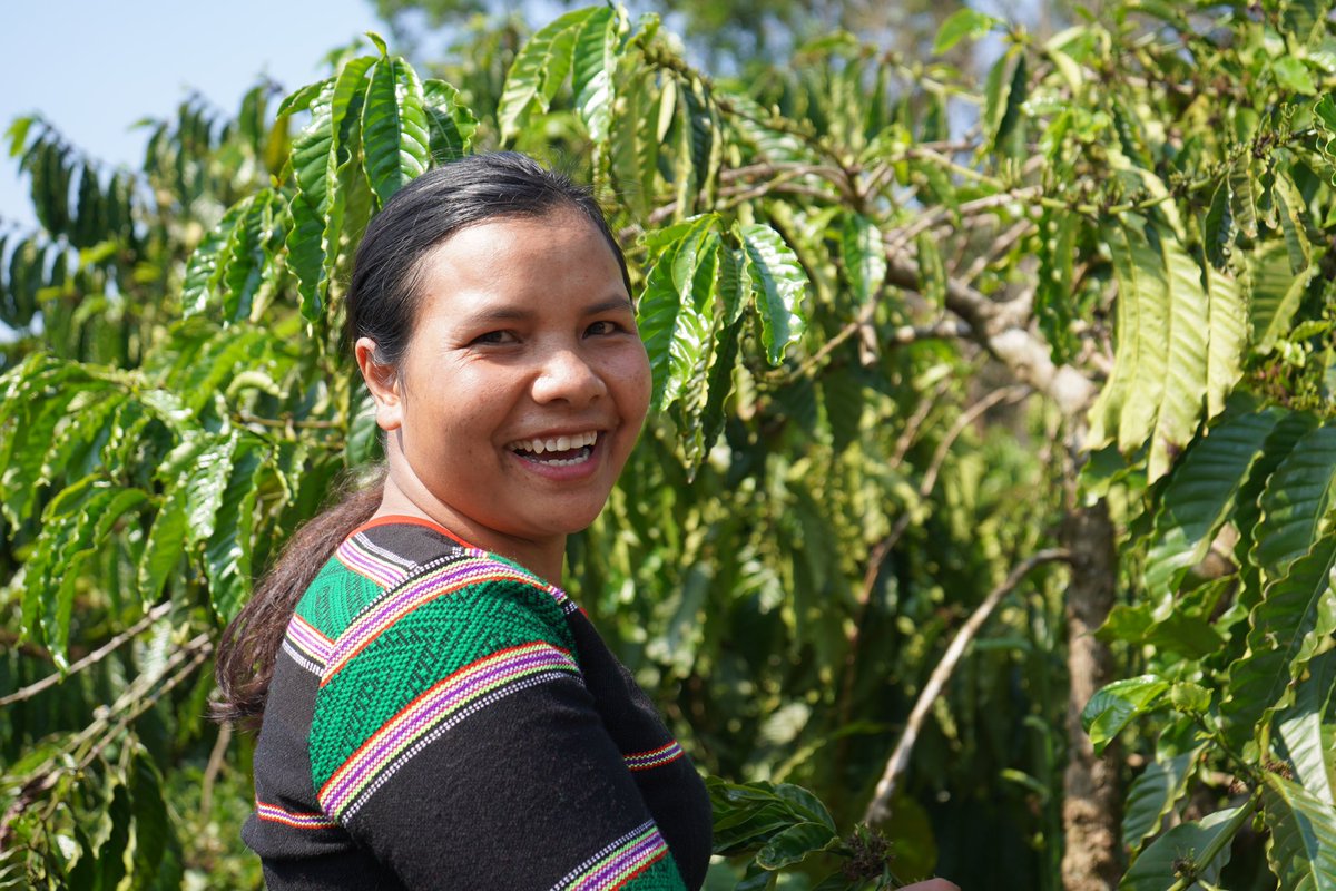 UNDPVietNam tweet picture