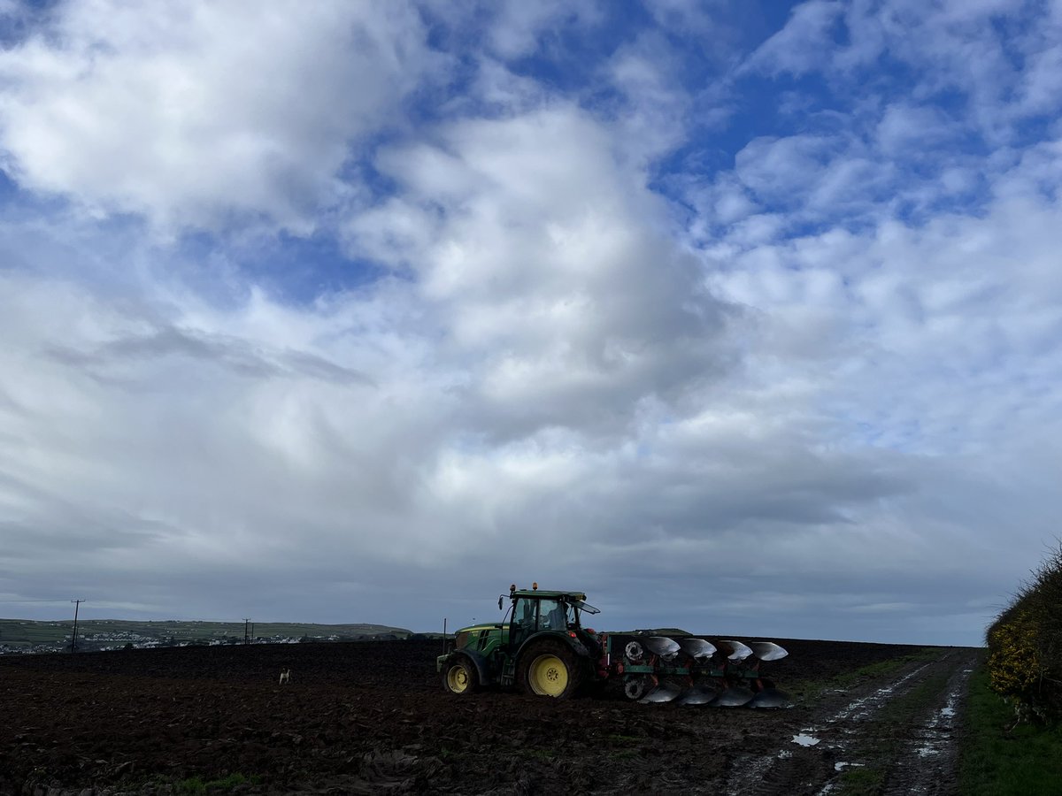 Agronomysilvers's tweet image. Grand day crop walking in sunny wales 🏴󠁧󠁢󠁷󠁬󠁳󠁿 yesterday @AgriiUK #springbarley #potatoground