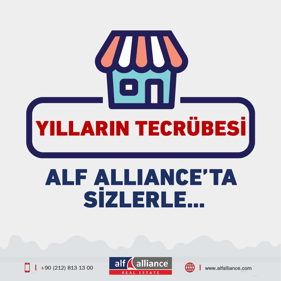 Alf Alliance Türkiye tweet media