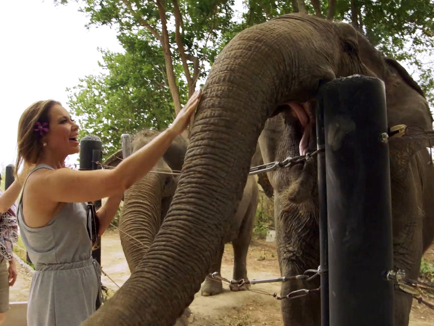 RealHousewivesRanked! on Twitter "RHOD S4 really showed how you do a