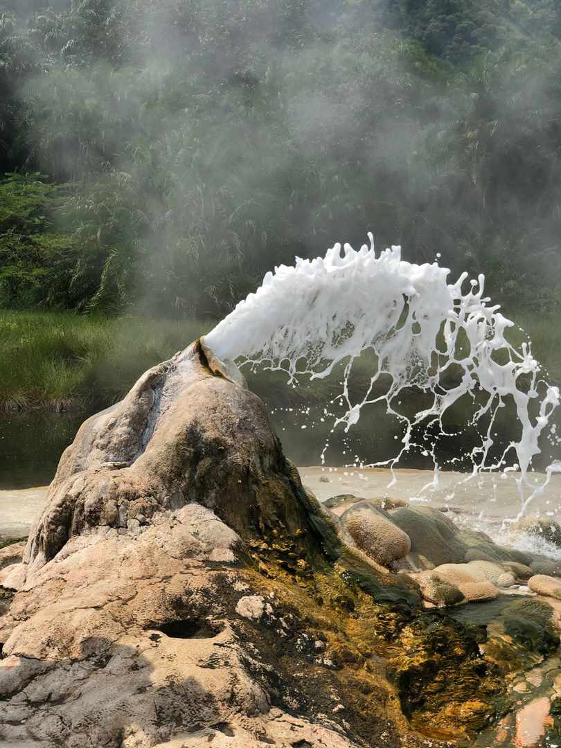 mkkatungisa's tweet photo. Come and be part of this amazing and memorable Tourism experience 
#ExploreWest
#TurambureAnkore
#Tubungiretooro https://t.co/ON8mKHho4G