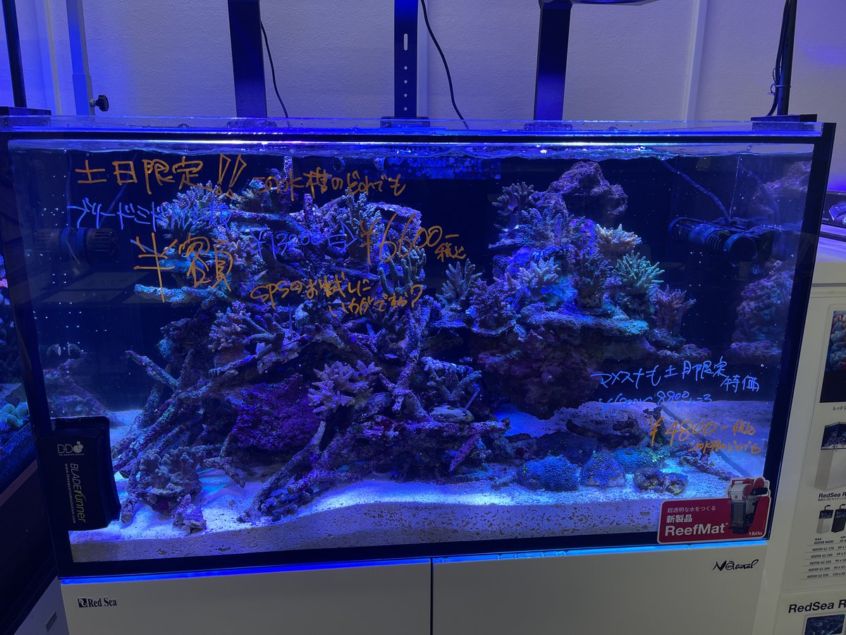 はてるまニシ浜【アクア用】 on Twitter: