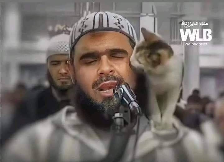 شیخ! یہ بلی اچانک کہاں سے آگئی؟
اسے بس اللہ ہی نے بھیجا۔
وہ کس لئے؟
تاکہ عرب اور عالمی میڈیا کے ملین ڈالرز کے پروجیکٹس پہ ایک لمحے میں پانی پھیر دے۔
میں سمجھا نہیں، کیا کہنا چاہ رہے ہیں؟
عالمی اور عرب میڈیا نے ملینز آف ڈالرز خرچ کرکے علماء ومشائخ اور دینی داعیوں کو تمسخر کا نشانہ