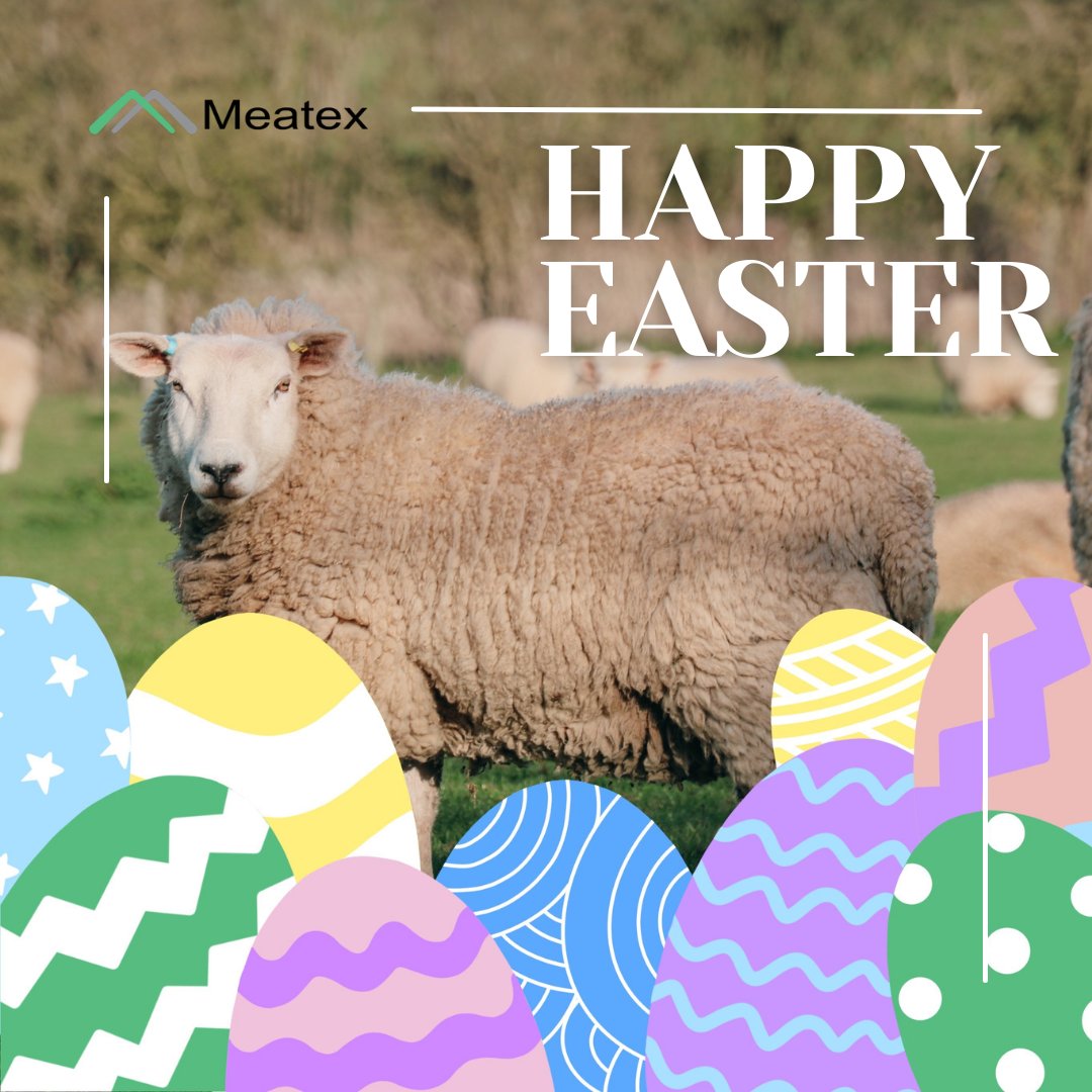 Meatex1's tweet image. 🐰 Happy Easter from the family at Meatex! Thank you for all your support!

#meatex #wholesalemeat #meattraders #meatindustry #foodindustry #butchers #britishmeat #meat #wholesale #meatlovers #food #foodie #realfood #foodpix #happyeaster #lamb