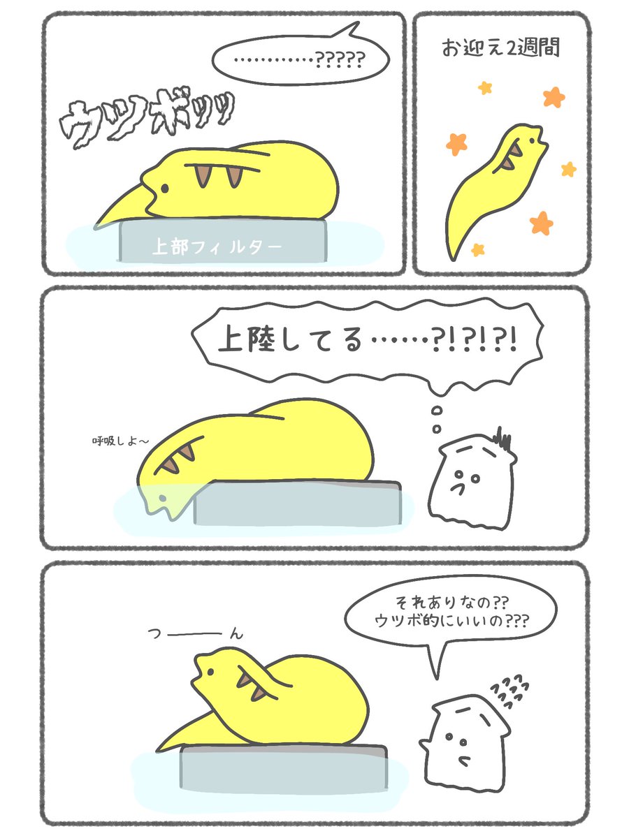 家のウツボが上陸した話 https://t.co/lmYYVxPc7r