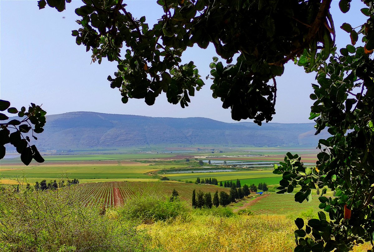 Jezreel valley, this morning. #Israel 
#Hiking 
ובָּאנוּ אֶל-הָאָרֶץ אֲשֶׁר שְׁלַחְתָּנוּ; וְגַם זָבַת חָלָב וּדְבַשׁ הִוא וְזֶה פִּרְיָה
— במדבר, י"ג, כ"ו
"Land of milk and honey"