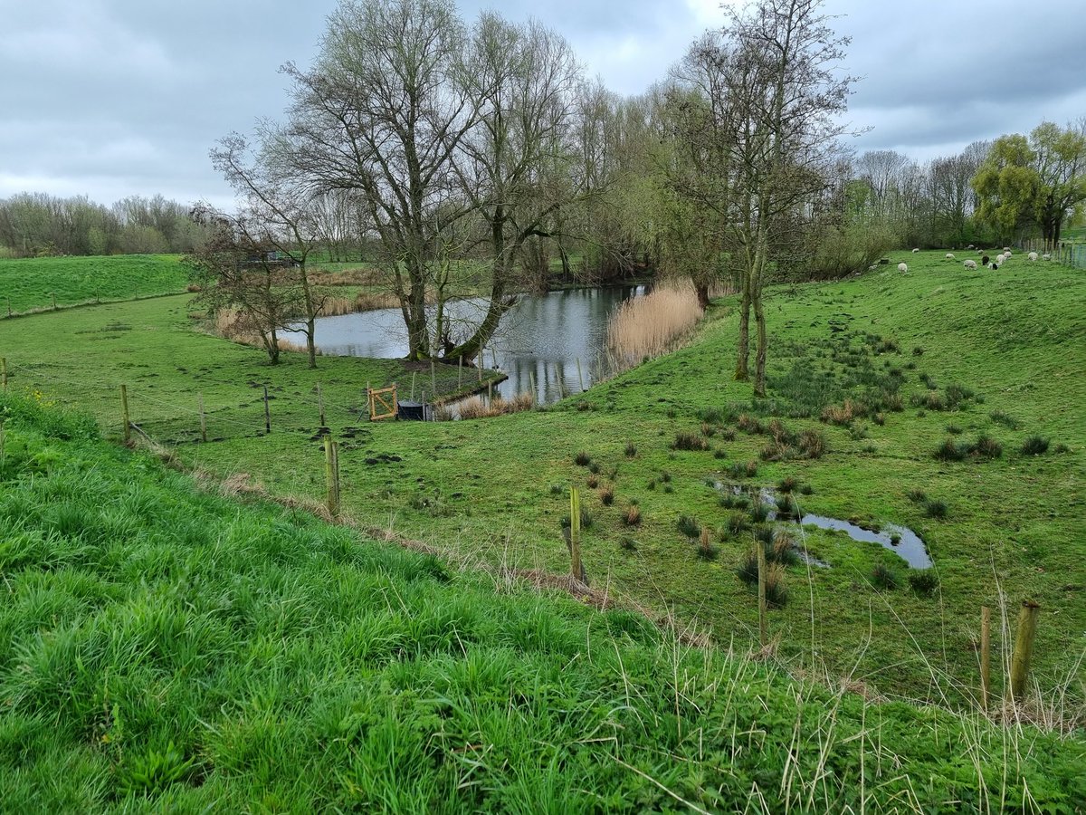 Een prachtig plaatje uit Albrandswaard <a href="/ALBRANDSWAARDzh/">gem. Albrandswaard</a>